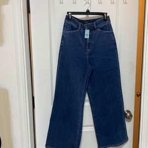 Ann Taylor denim trouser